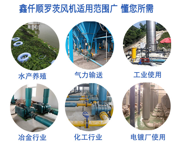 三葉羅茨鼓風(fēng)機廠家解說
